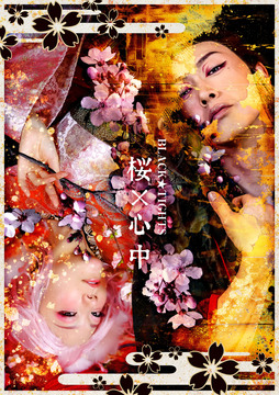 『桜×心中』