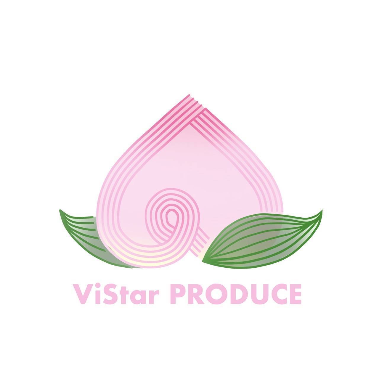 ViStar PRODUCE 