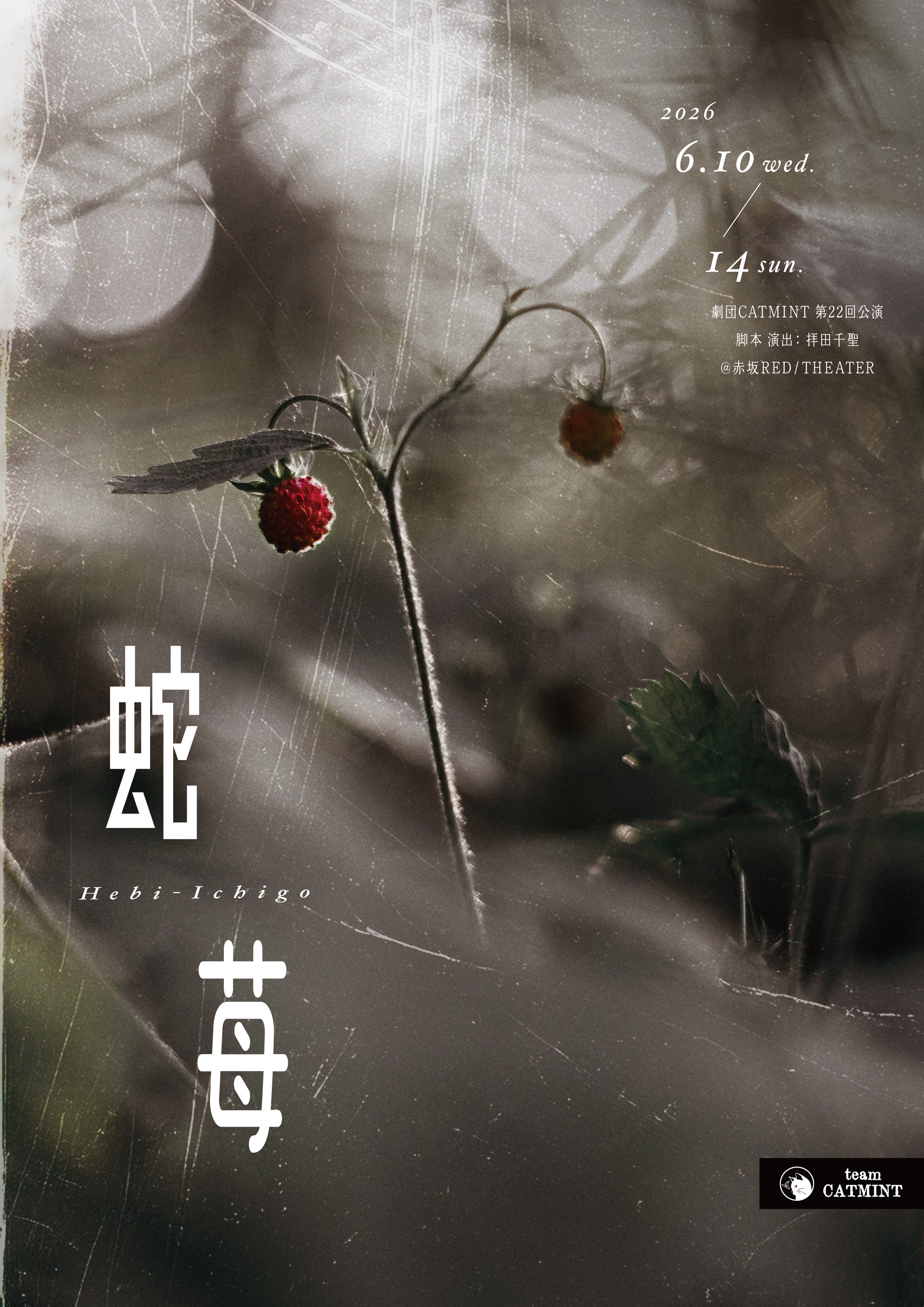 『蛇苺』