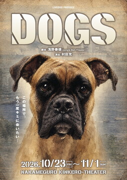 DOGS