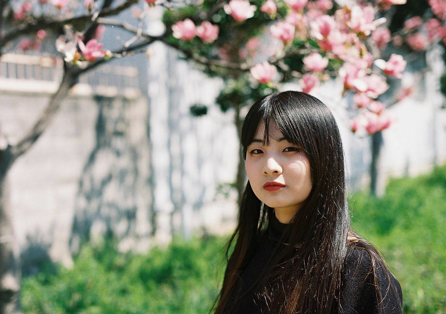 香菜海